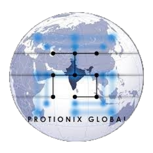 Protionix Global Foundation logo